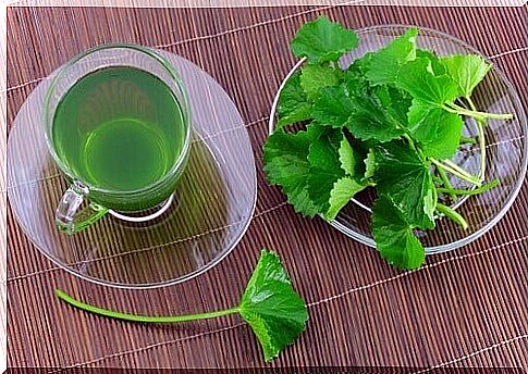 5 Incredible Benefits Of Parsley