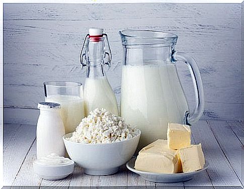 Products that your children should not give at breakfast dairy products