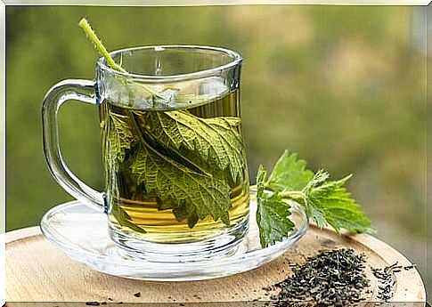 A glass of nettle tea