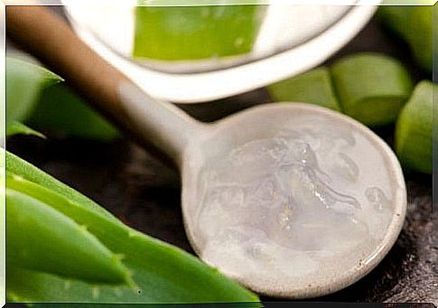 A spoon with aloe vera