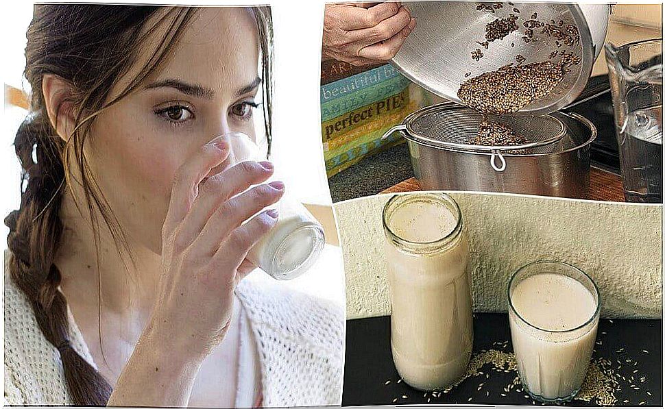 Canary seed milk: what is it and how do you make it?