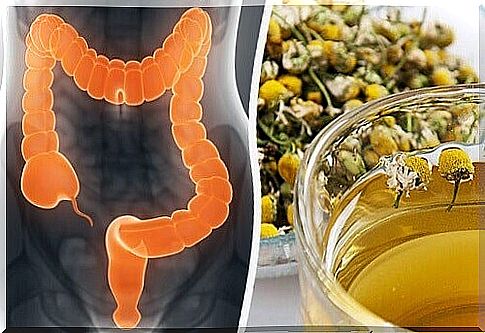 Cleanse your intestines with medicinal herbs