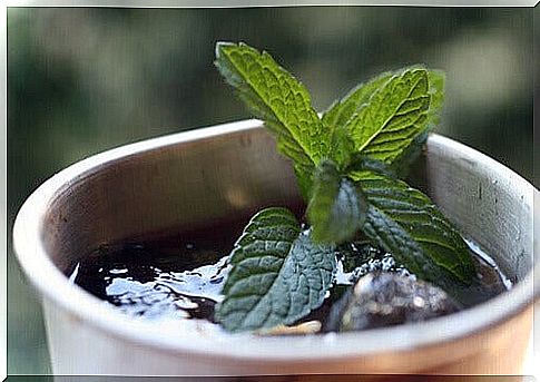 Cleanse your intestines with mint