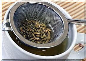 Cleanse your intestines with fennel tea