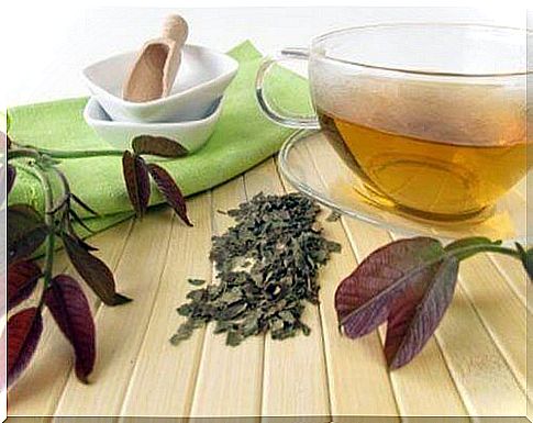 Cleanse your lymphatic system with walnut tea