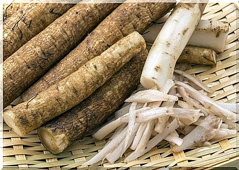 Cleanse the lymphatic system with burdock root tea