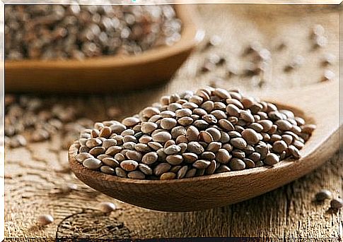 Fighting hair loss with lentils