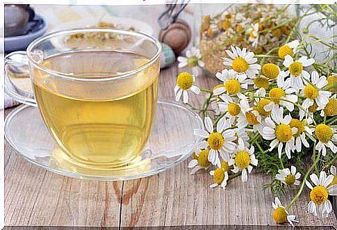 Infusion of chamomile to detoxify your liver