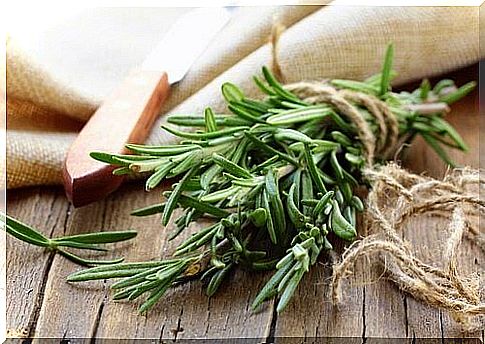 Rosemary can help against hypotension