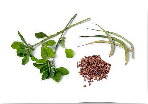 Herbs that can help with weight gain