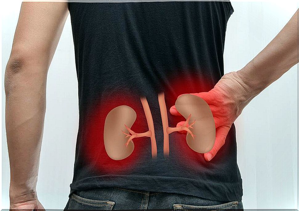 Great natural remedies that cleanse your kidneys