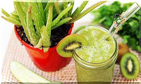 Smoothie with aloe vera and kiwi for irritable bowel syndrome