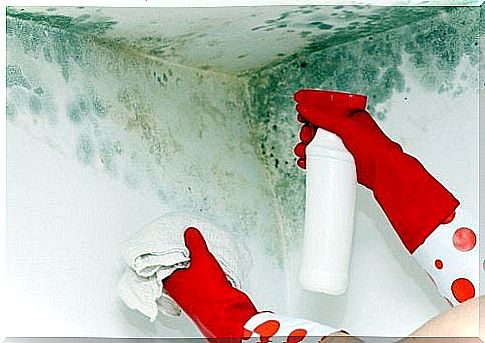 Household tips to remove mold