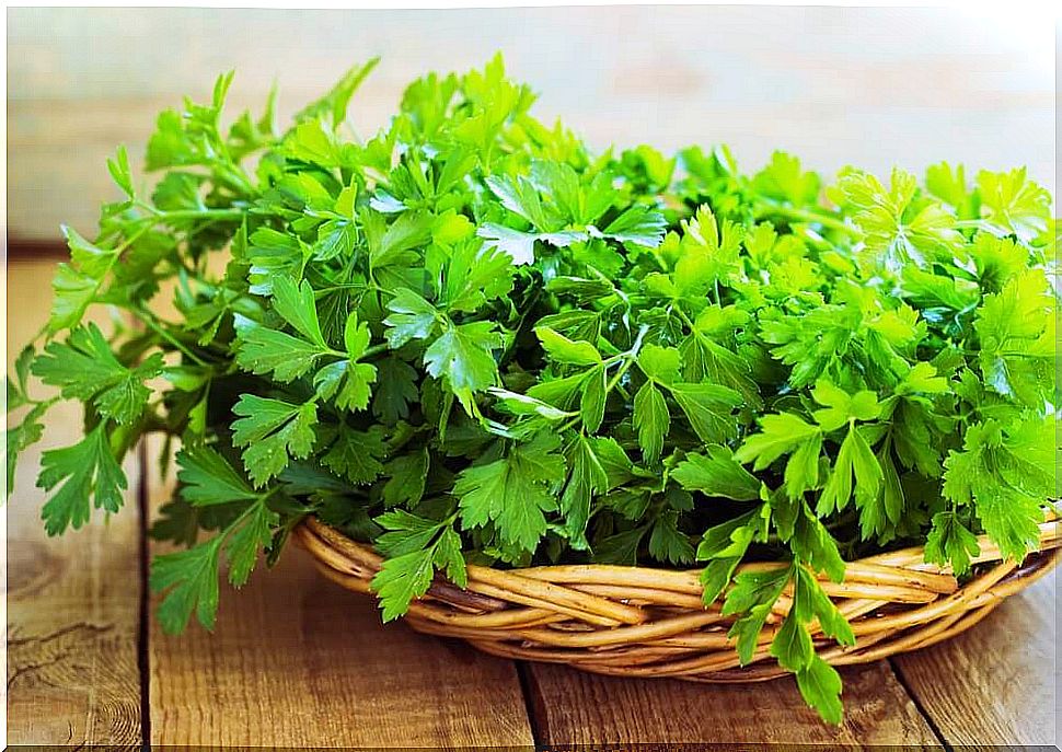 Parsley for a clean mouth