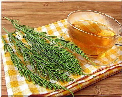 Improve circulation with horsetail tea