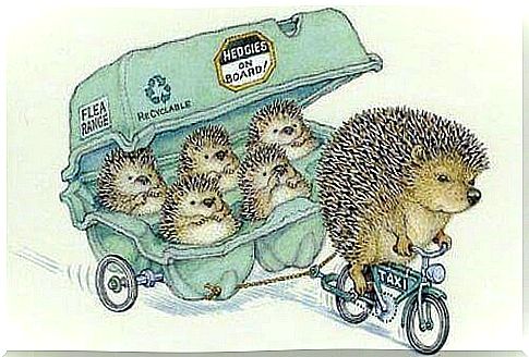 Hedgehog with Children