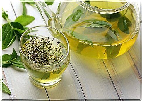 Macular Degeneration and Green Tea