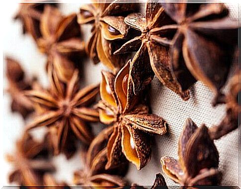 Star anise tea to improve digestion