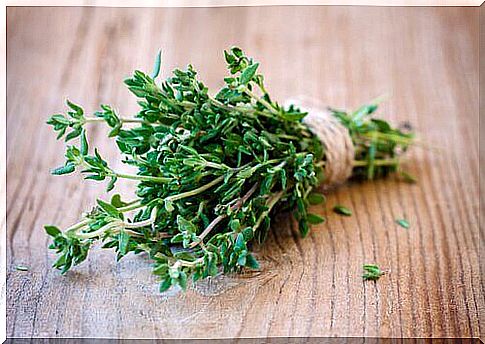 Thyme is one of the unknown natural antibiotics