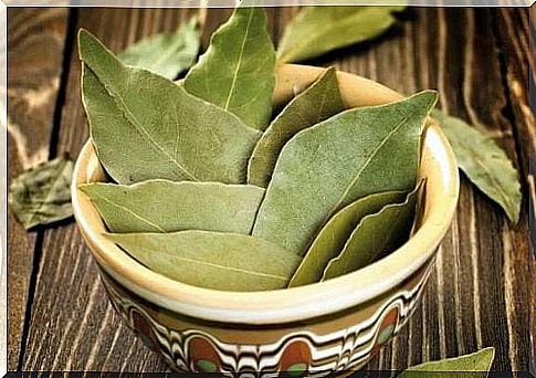 Use Bay Leaves To Treat Diabetes