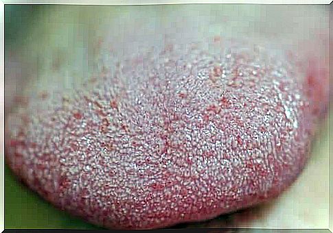 Close-up of a tongue