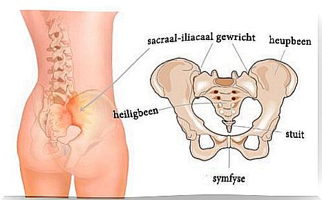 The anatomy of the sacroiliac joint