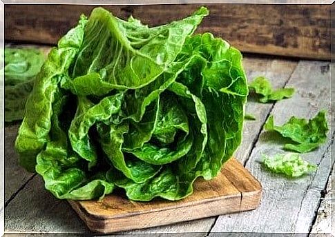 Lettuce, an old remedy for headaches