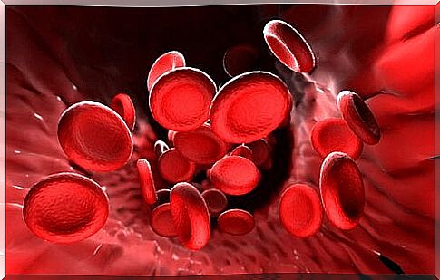 what is hemoglobin