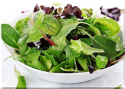 Green salade